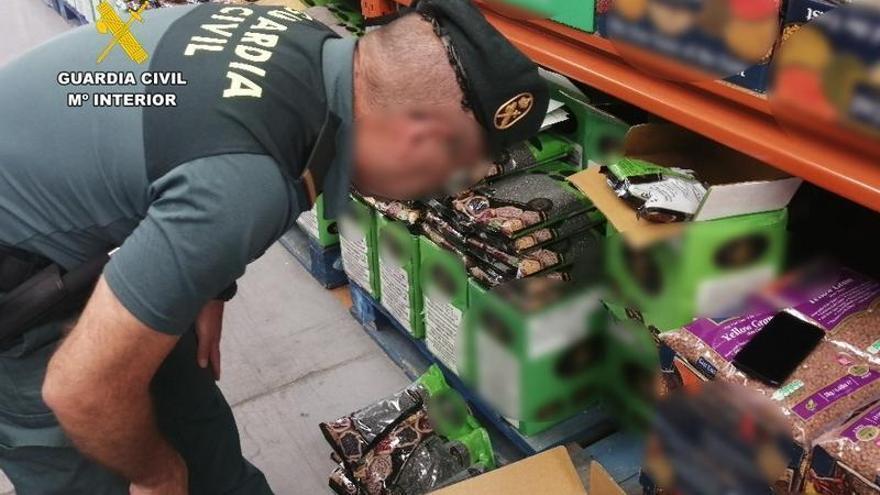 34.000 kilos de alimentos caducados y a la venta en Torrevieja, intervenidos por la Guardia Civil