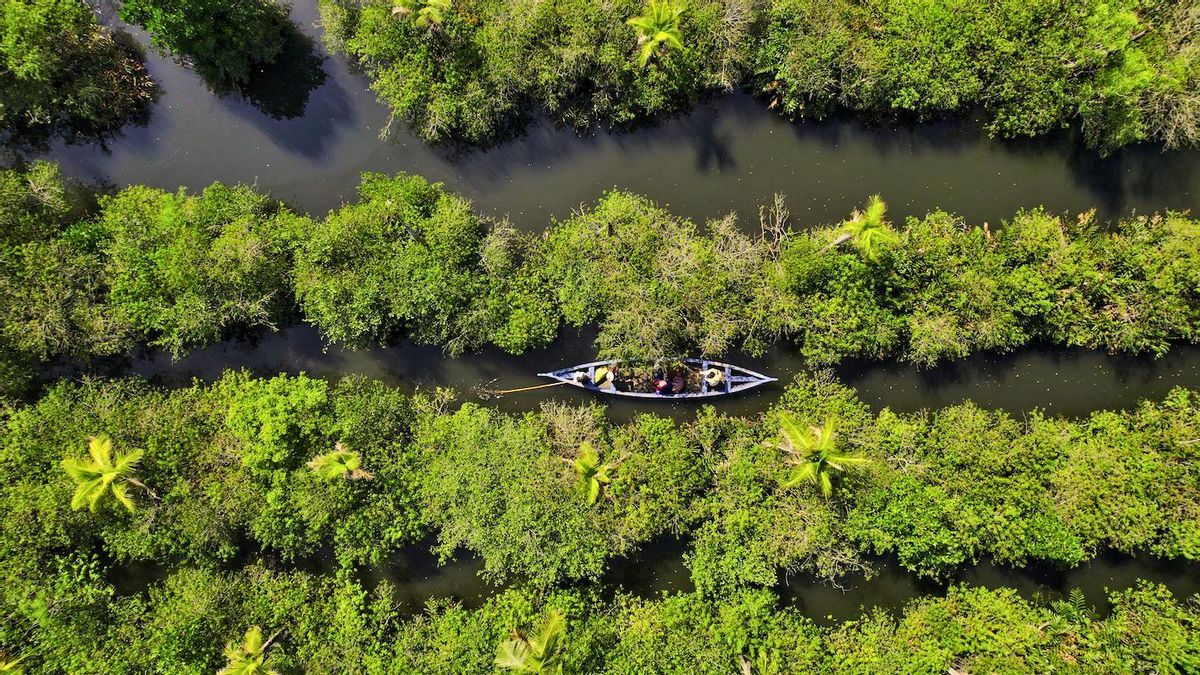El rincón más desconocido del sur de la India es un paraíso flotante donde reinan la artesanía y el silencio
