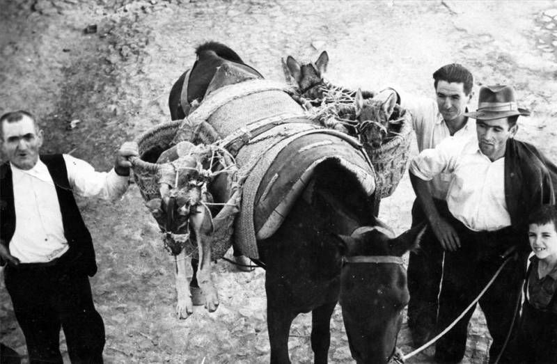 Cáceres todo un placer: Juancho Viola: su infancia es su patria