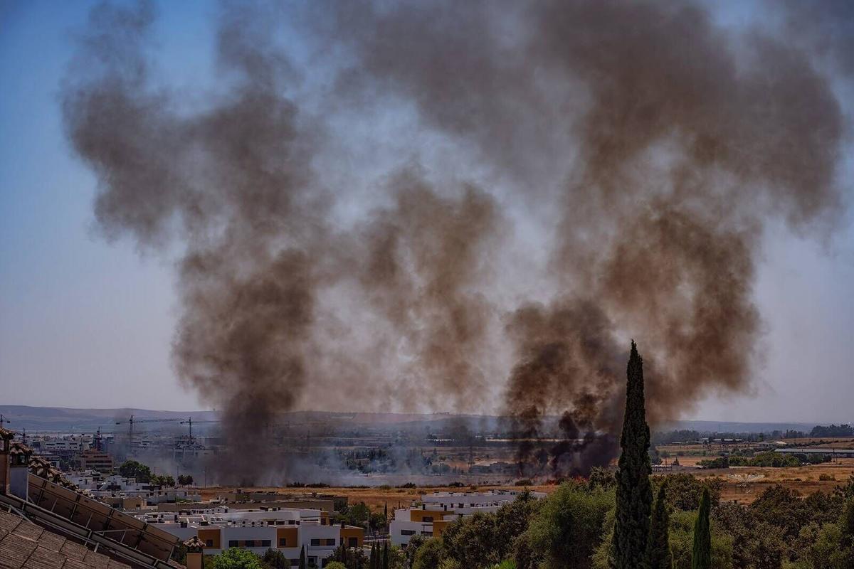 Córdoba Foto Pedro Mengual Incendio de pastos junto a San Rafael de la Albaida carretera de Trassierra