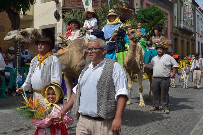 Carretas y grupos en la romería del Pino