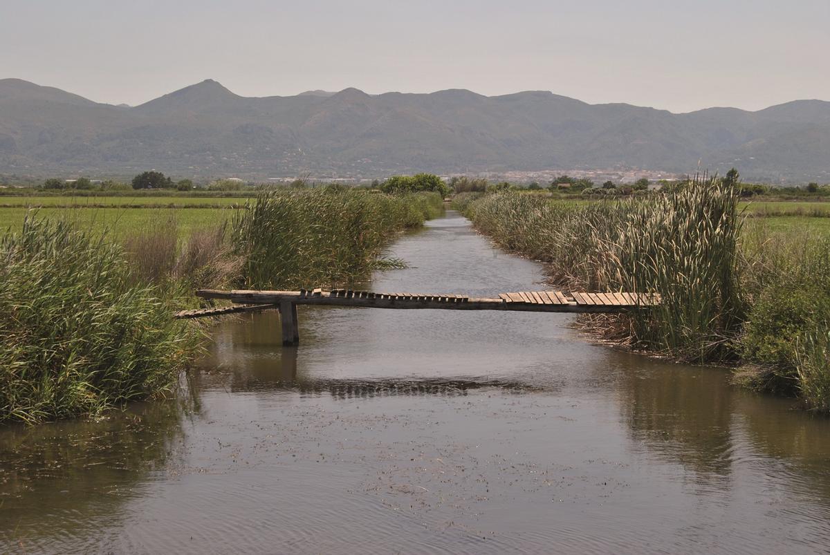 El propio Parque Natural está amenazado