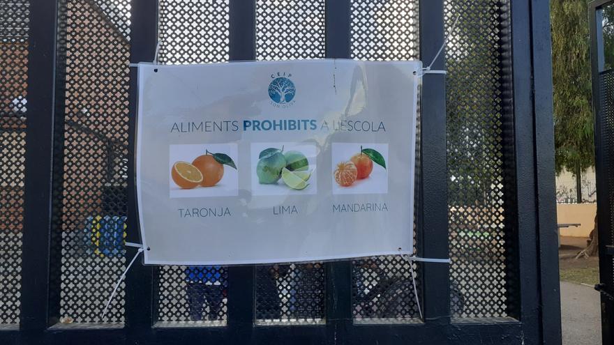Naranjas y mandarinas prohibidas en un colegio de Palma de Mallorca por solidaridad con una profesora