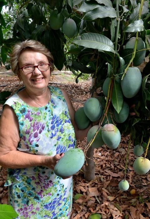 MANGOS POSTRES CONCURSO CECILIA RAMIREZ CERCADOS ...