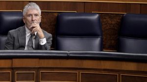 Fernando Grande-Marlaska, ministro de Interior, en el Congreso de los Diputados.