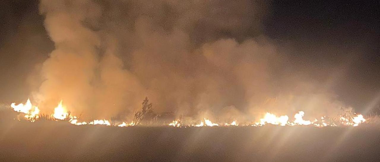 Incendio esta madrugada en la cementera de Alicante originado por la quema de restos orgánicos.