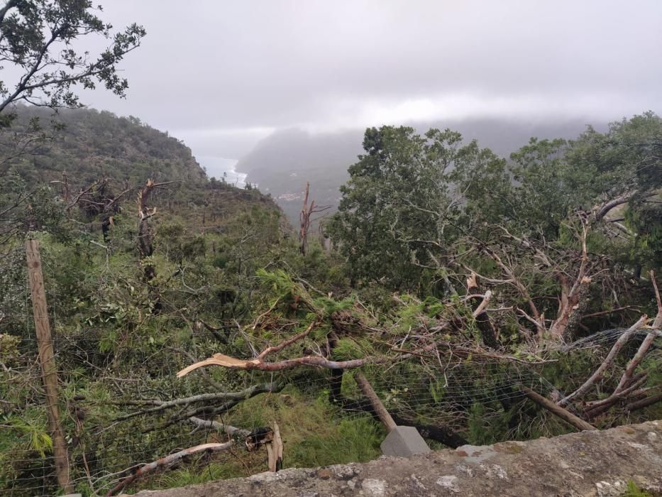 Tormenta, granizo y un 'cap de fibló' en Mallorca