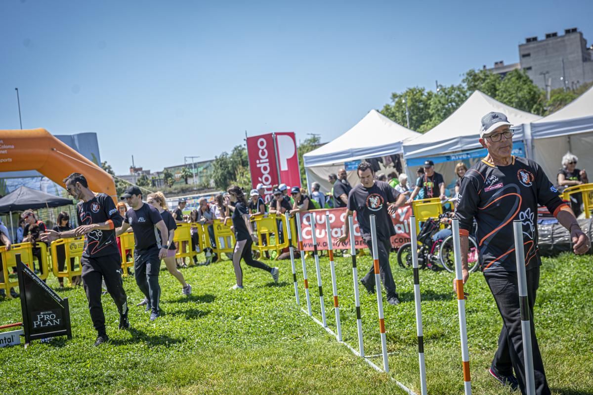 CAN WE RUN BARCELONA. La carrera organizada por Prensa Ibérica y El Periódico de Catalunya con la colaboración de Sport ,  donde las personas y sus mascotas perrunas corren en familia