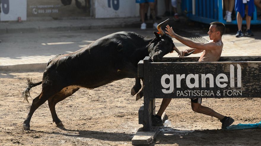 Machancoses no defrauda y ya es primero en la Vall