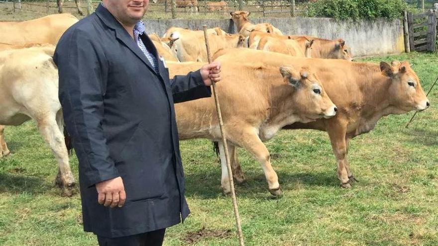 En la imagen de la izquierda, Carlos Fernández, con sus vacas francesas &quot;aubrac&quot;. A la derecha, Gabriel Fernández y Jesús Bueres se dan la mano tras cerrar un trato en el Castañéu de Corao, ayer.