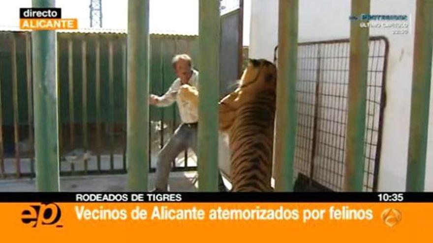 El momento en el que tigre ataca al domador.