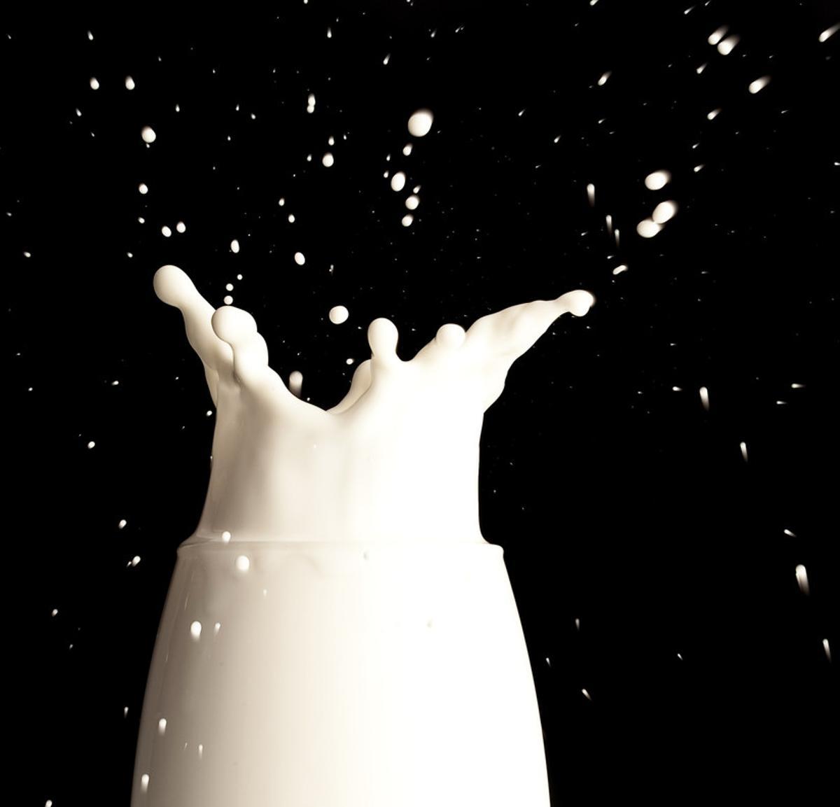 Copa de leche para ilustrar leche sin lactosa