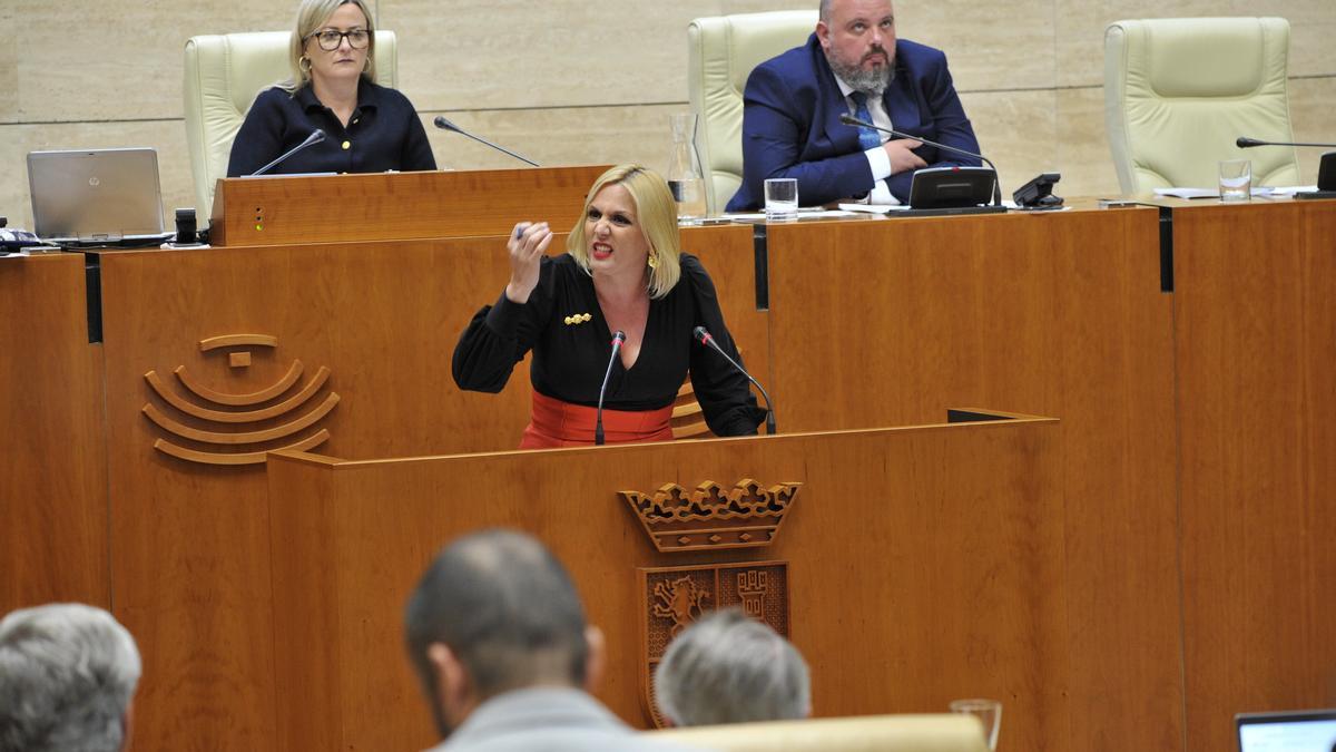 La consejera de Hacienda, Elena Manzano, en la tribuna de la Asamblea para hablar sobre financiación autonómica.