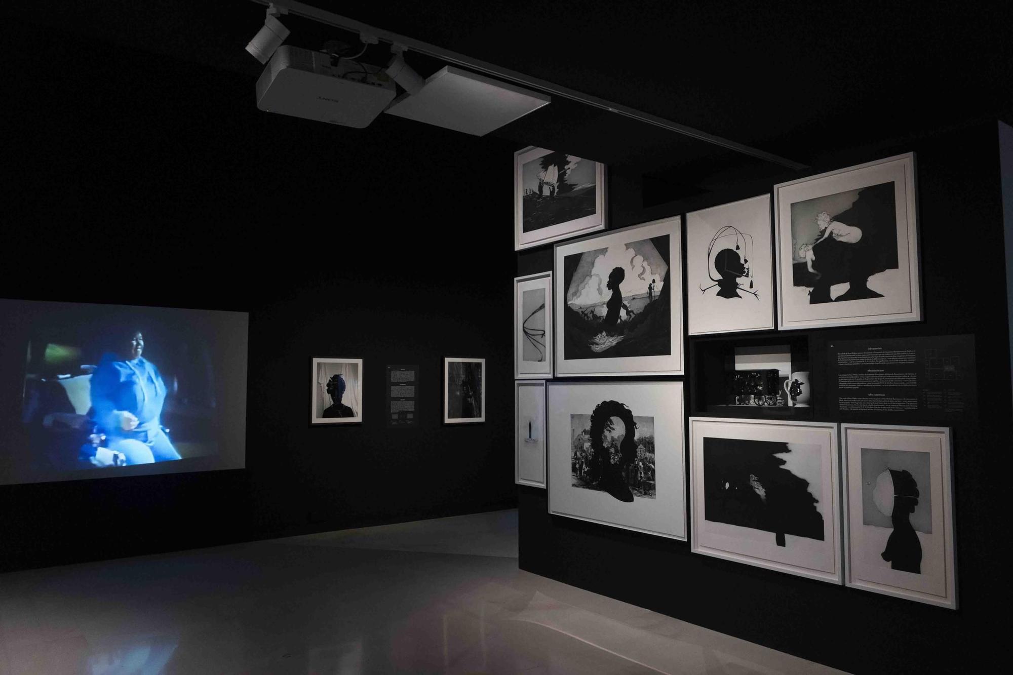Exposición popular en el IVAM