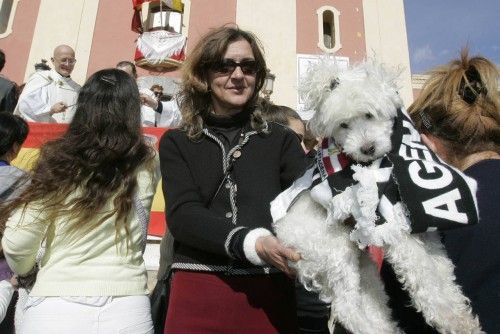 Las mascotas toman la plaza de San Antón de Cartagena