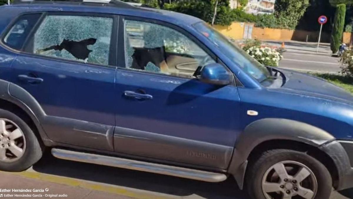 Un dels vehicles afectats pels danys del presumpte autor a Lloret.