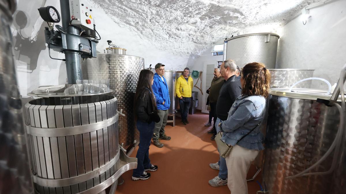 Bodega Niebla, ubicada en una antigua cueva de Valleseco.