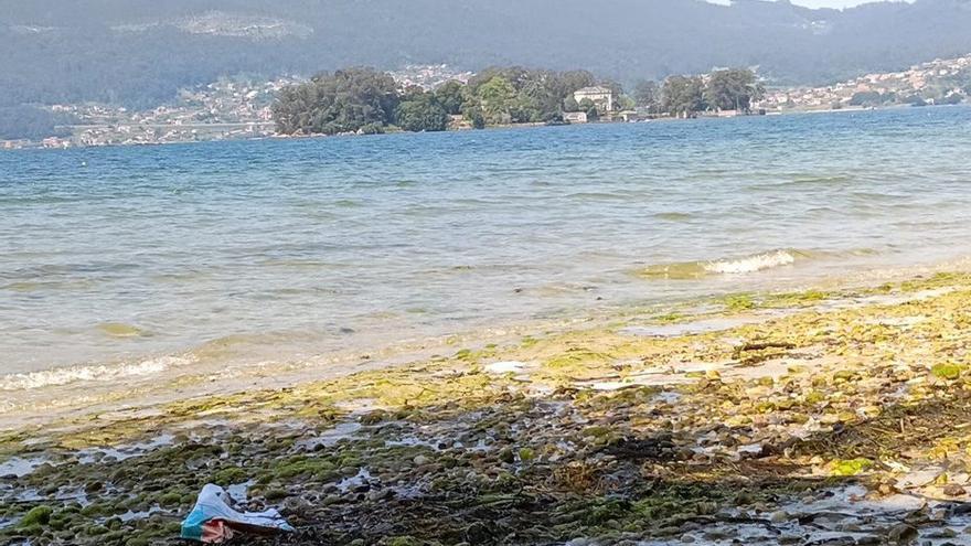 Usuarios critican la suciedad de la playa canina de Cesantes