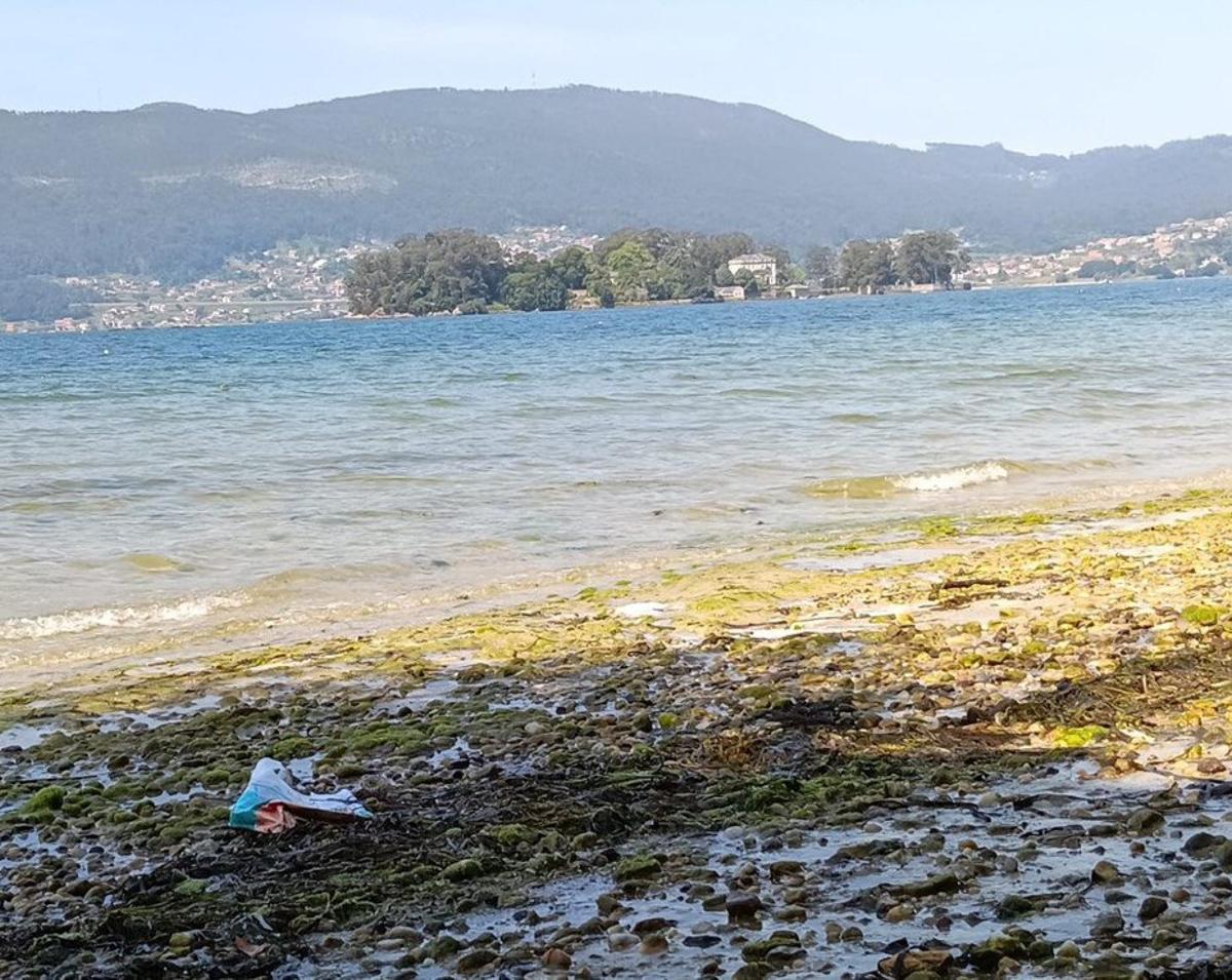 La playa canina de Cesantes, en la que los usuarios piden una limpieza. | DAVID ALJÁN
