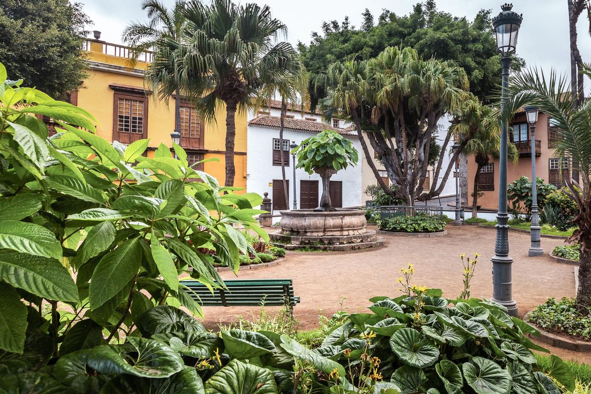 Discovering the Allure of Icod de los Vinos: The Canary Islands’ Hidden Gem Discovering the Allure of Icod de los Vinos: The Canary Islands’ Hidden Gem