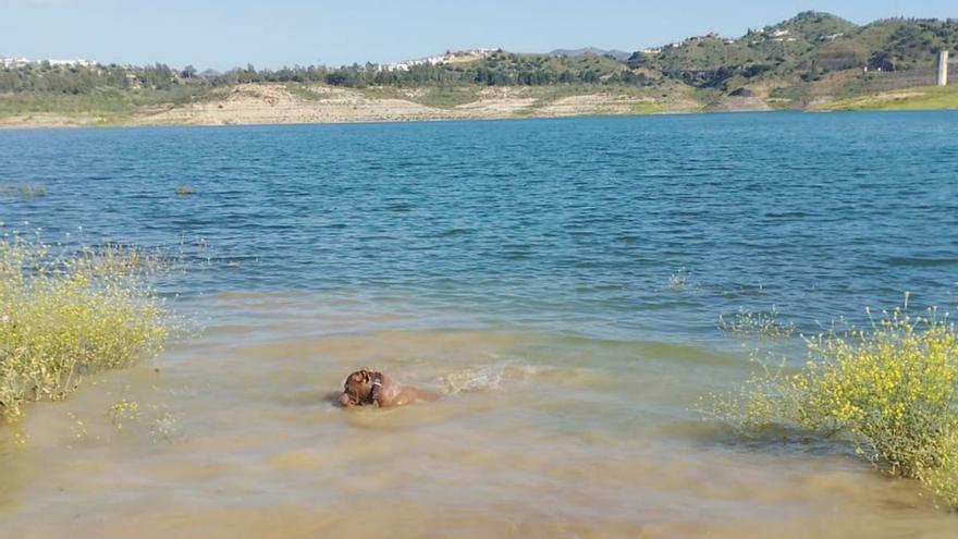 El embalse de la Viñuela ha ganado 0,3 hectómetros más.