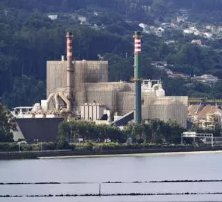 Ence gana 2,4 millones hasta marzo por sus menores costes