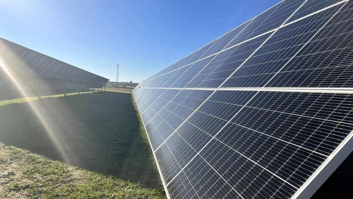 Imagen de placas solares en una planta fotovoltaica