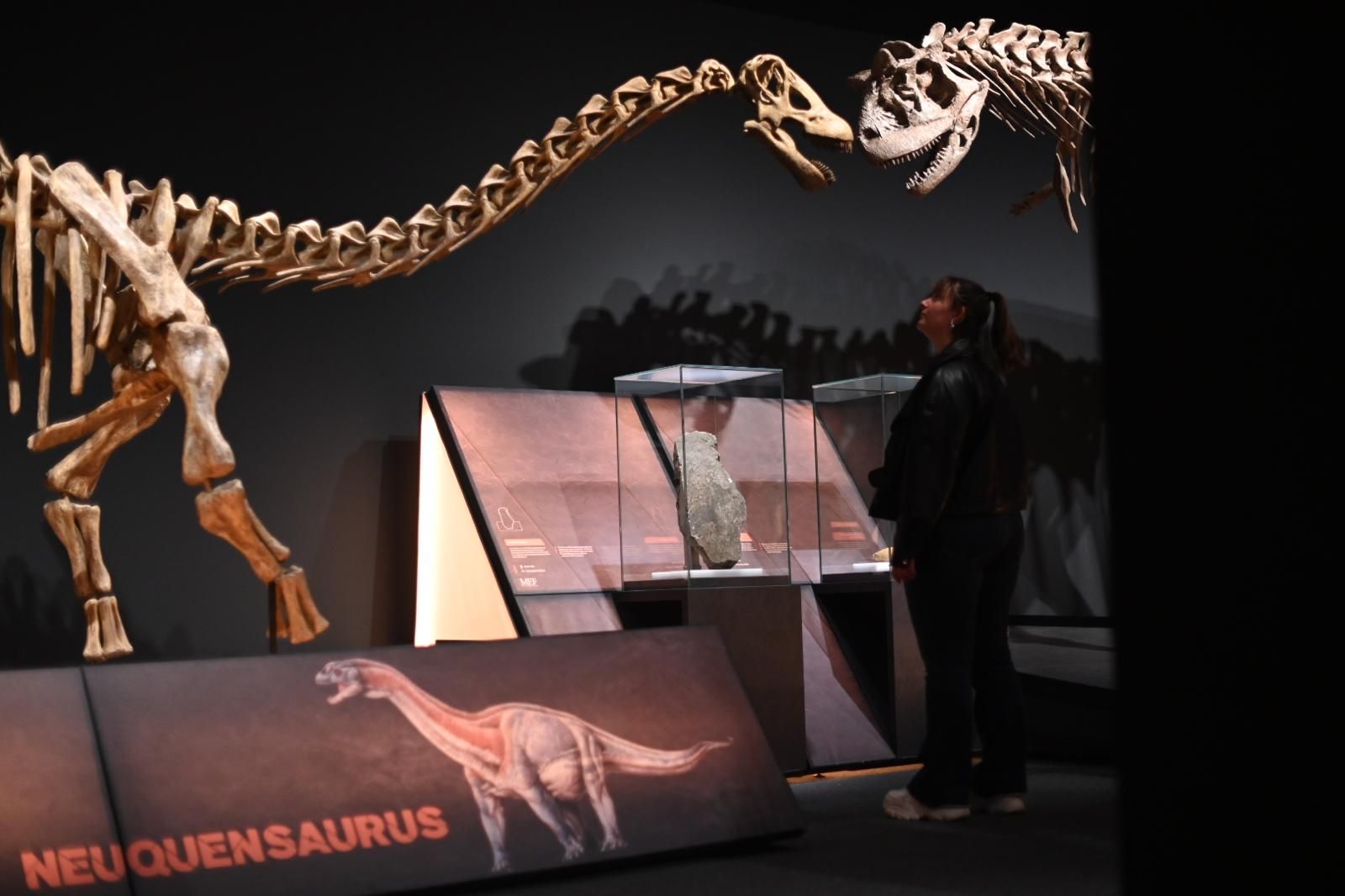 En imágenes | El dinosaurio más grande conocido conquista el Caixaforum de Zaragoza
