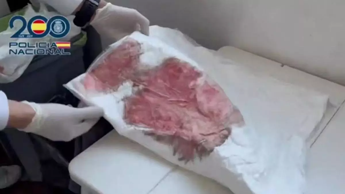 Desmantelado un quirófano clandestino de cirugía estética: aumentos de pecho y liposucciones en condiciones insalubres