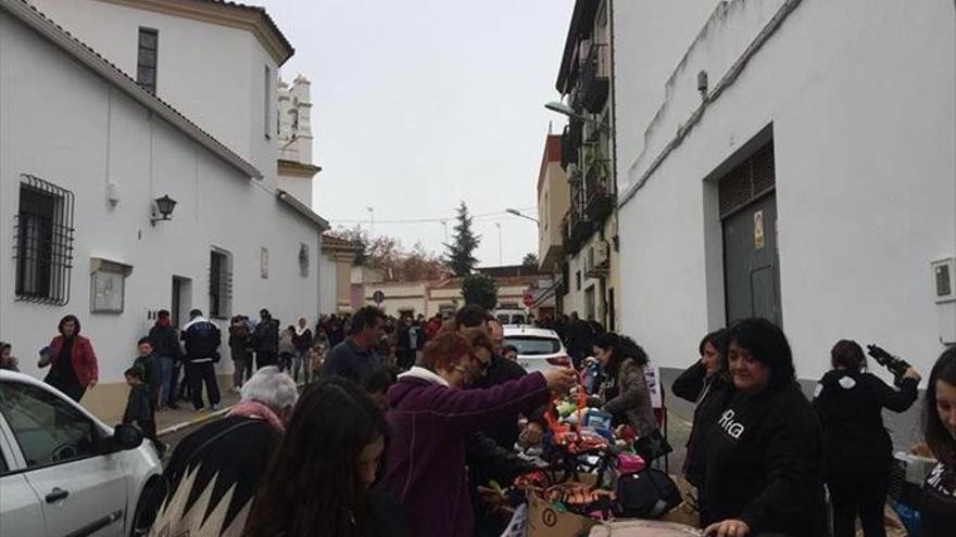 san antón bendijo 114 mascotas en una tradición que conserva recal