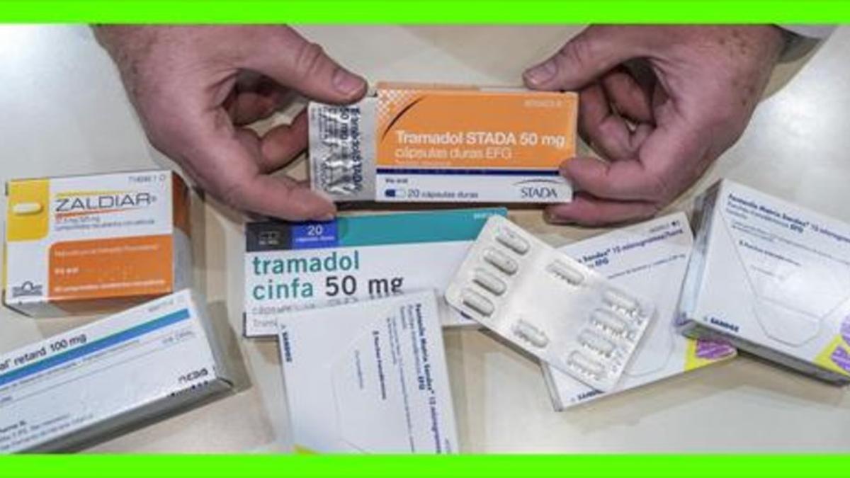 Los farmac uticos piden control en el consumo de analg sicos opioides
