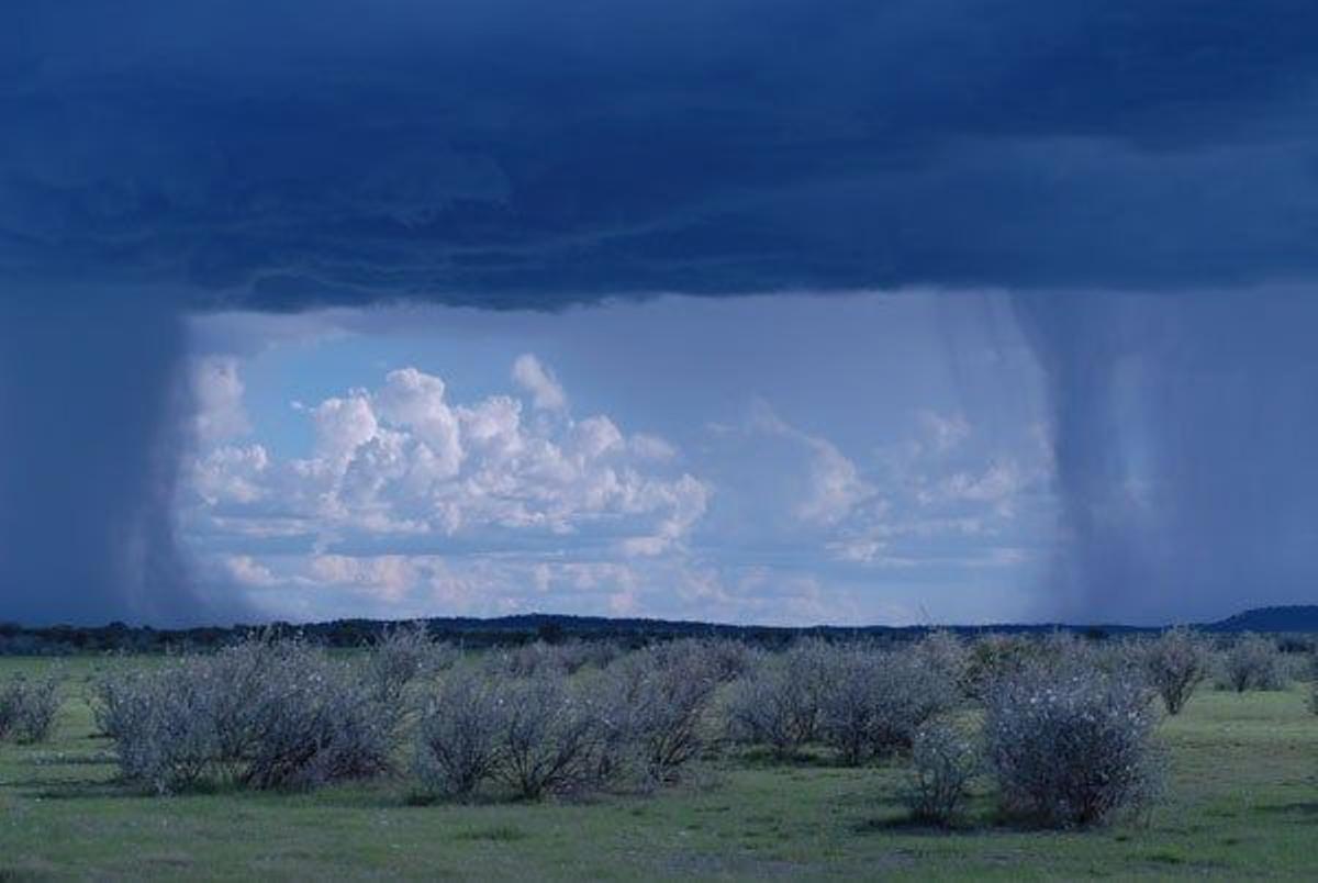 Lluvias en la región de Kunene en el Parque Nacional de Etosha.