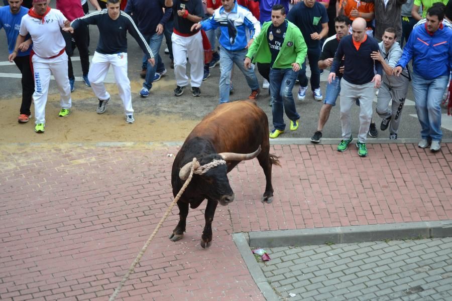 Enmaromado 2016: Lechugazo da la talla