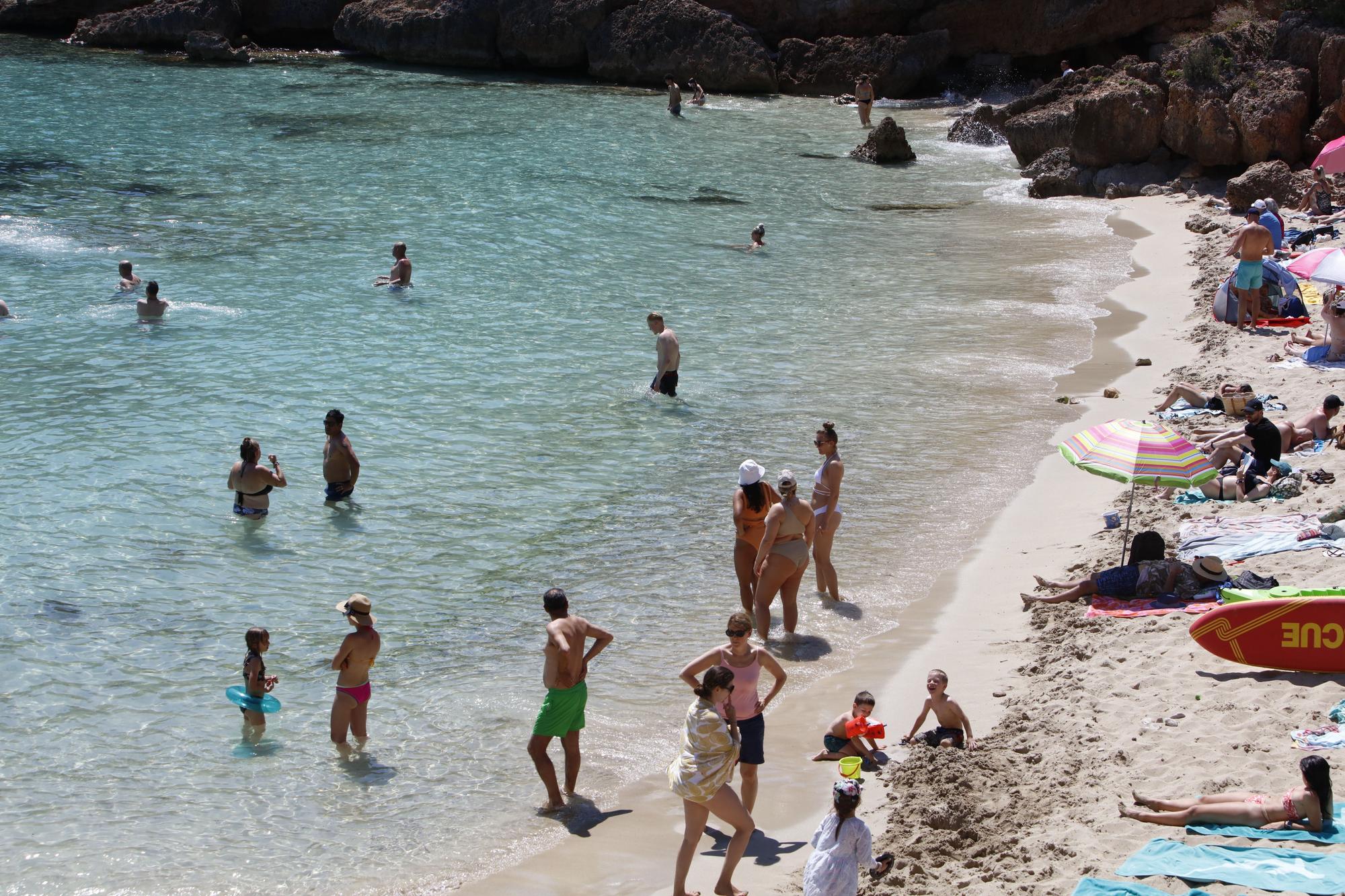 Überfüllte Traumbucht auf Mallorca: So sieht Cala Gat bei Cala Ratjada Anfang Juni aus