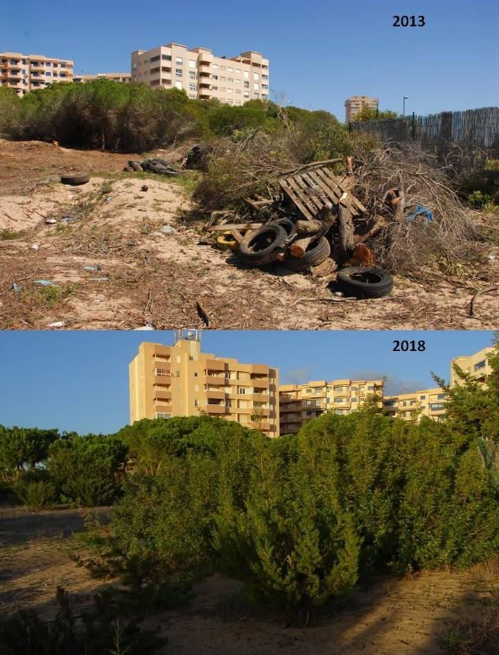 ANSE, en contra de la construcción del edificio multiusos en Monteblanco