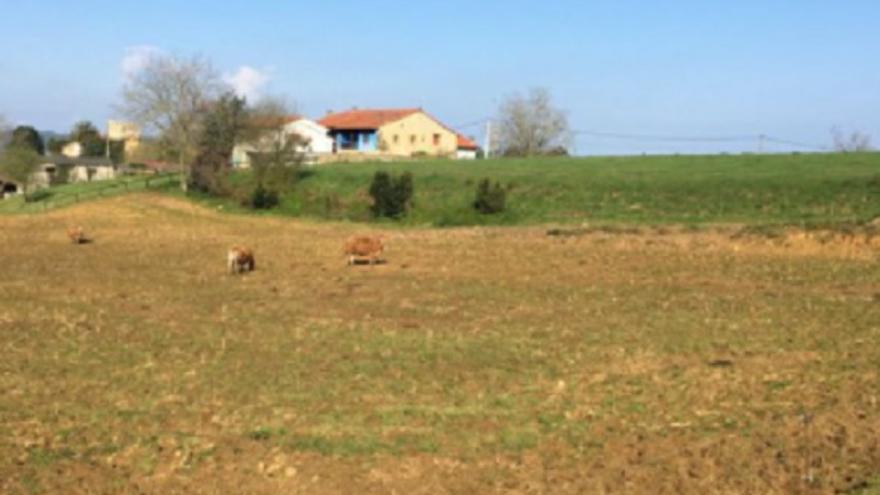 Parcela en venta en Asturias.