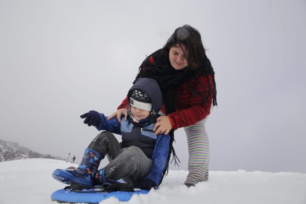 Miles de personas disfrutaron e inmortalizaron la nevada en el Teide