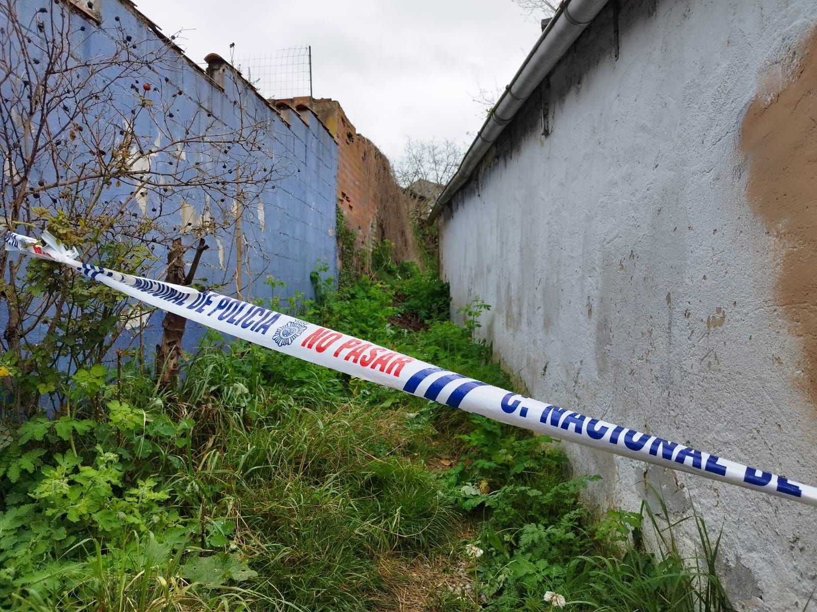 Detenido un joven de La Felguera por matar y descuartizar a su compañero de piso, un hombre de unos 70 años.
