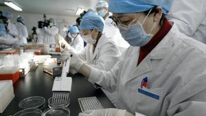 Un grup d’investigadors fan una anàlisi de sang a la Xina.