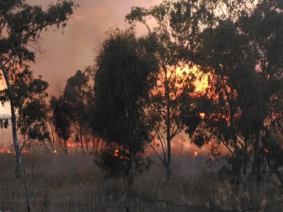 Un incendio obliga a desalojar el camping de Almenara