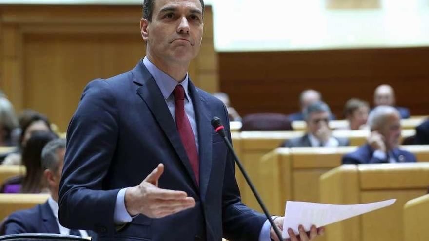 Pedro Sánchez, ayer, durante la primera sesión de control al Gobierno en el Senado. // Efe