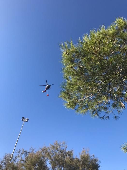 Un nuevo incendio afecta a la pinada de Guardamar