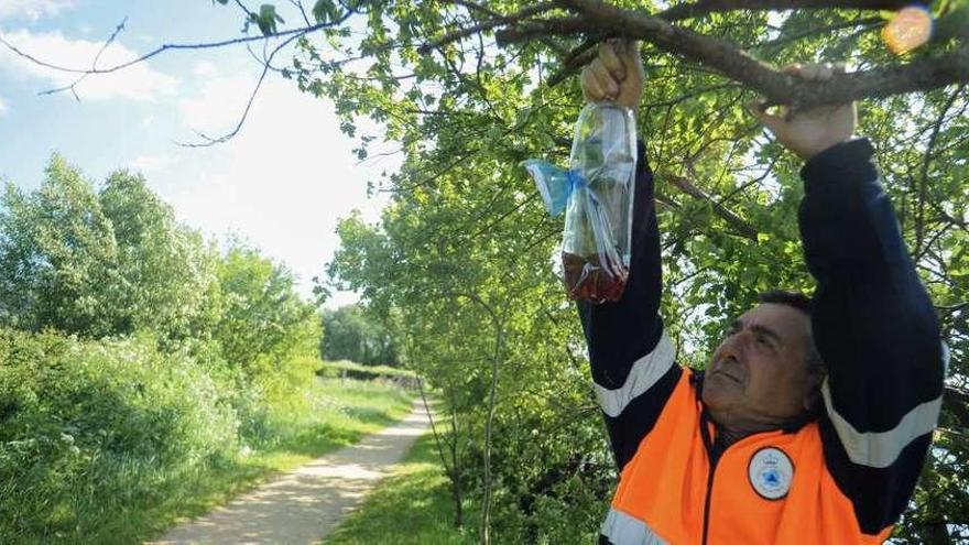 El presidente de Protección Civil de Ribadumia, Andrés Otero, muestra una de las botellas colocadas en la ruta del Umia, ayer. // Iñaki Abella