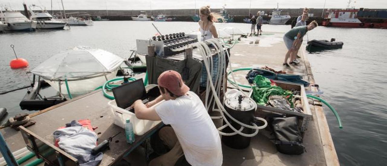 Algunos de los investigadores junto a los tubos de ensayo que han instalado en el puerto de Taliarte  | | LP/DLP