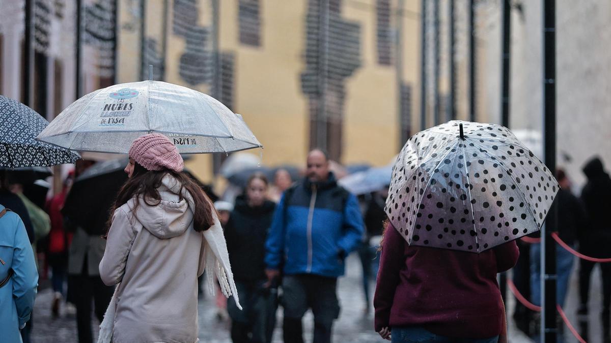 Gente con paraguas en La Laguna debido a la lluvia