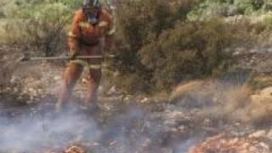 Solo nueve de los 61 municipios con suelo forestal disponen de un plan de prevención de incendios