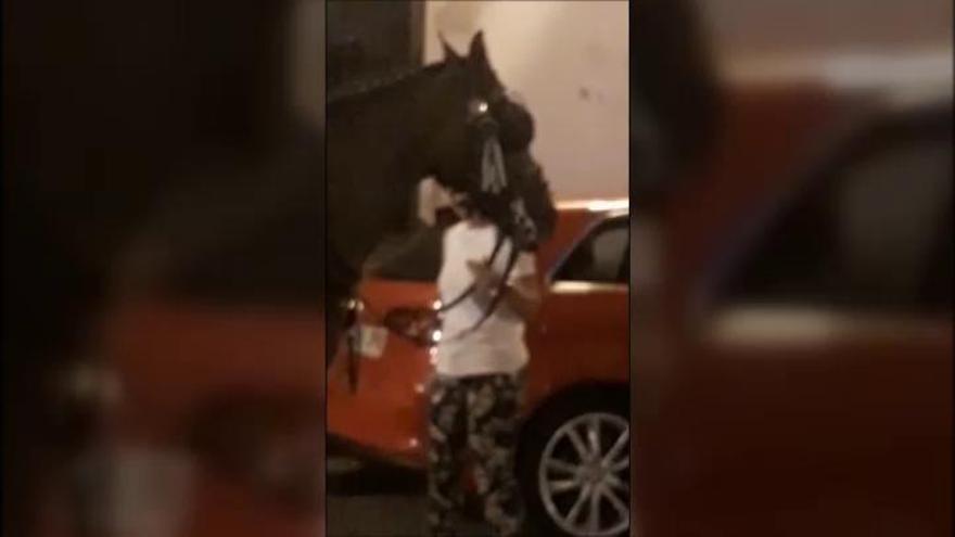 Indignación por el trato de un cochero de Sevilla a su caballo