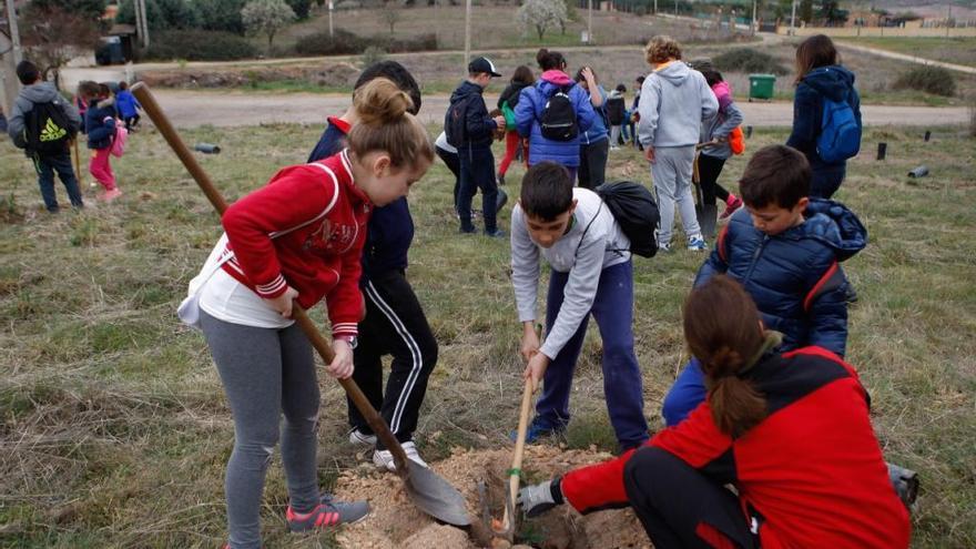 Niños en el el Día del Árbol.