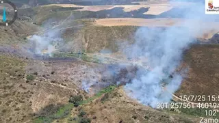 Un incendio en Roales calcina cinco hectáreas de terrenos agrícolas