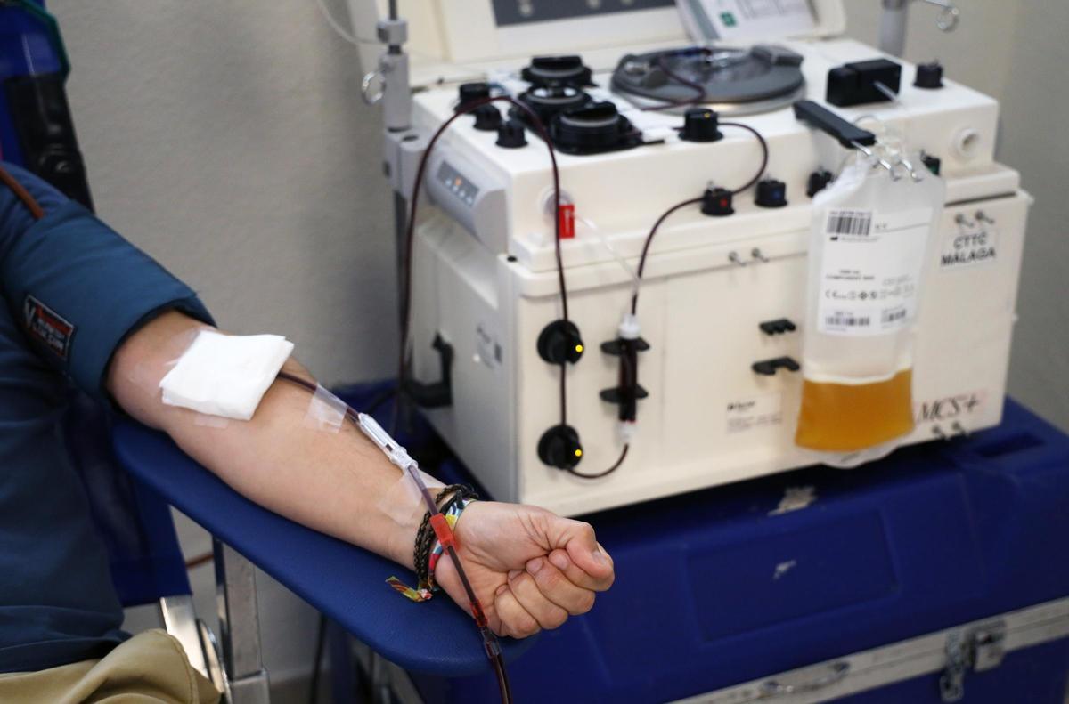 Varias personas realizan donaciones en el Centro de Transfusión de Sangre de Málaga